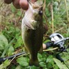 【9/12(土)手賀沼ヘ短時間釣行】