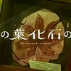 【もはや短編映画】谷田部透湖「木の葉化石の夏」：感想と視聴のススメ