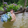 紫陽花の季節です！紫陽花の温泉写真集♪