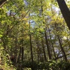 高妻山・飯縄山①