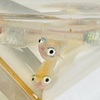 【ヤフオク出品】ポニョ 2ペア＋1 販売中！