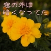 窓の外は暗くなってた