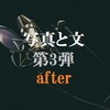 対談雑談PART23『写真と文』第3弾after