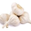 Organic Garlic Supplier in Argentina: Supplier Of A Valuable Herb