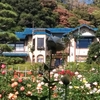 鎌倉文学館のバラ園
