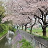 4月3日日曜日は今年最後の花見ラン