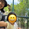 やっと活躍するようになった抱っこ紐(グスケット)と無駄になりそうな新しいベビーカー