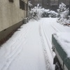 大雪