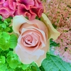 " 秋 " とおしゃべり♡