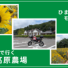 お盆休みモンキーでひまわり祭りツーリング「世羅高原農場」
