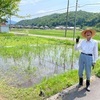 《 東経135度上に菊芋と真菰を植えました！ 》