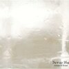 こんなにやってしもてええんか？と思わせるほどの切迫感。【coup d'Etat/syrup16g（2002）】｜今日のTSUTAYA店舗レンタル日記。#105