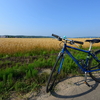 風が心地よい8月のサイクリング