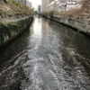 なにげな一葉／今年の桜は短かった、、、