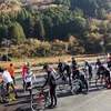 平日自転車倶楽部 三河湖紅葉ride～♪