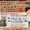 ポケウォーカー歩数=9,932＼HJ-326Fは「10,419」(2024.09/25記す)