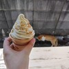 ピーナッツ最高！