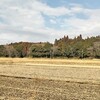 夫が病院へ行ってないpart２、病は怖い