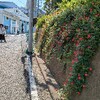 横浜山手西洋館 端午の節句装飾2025