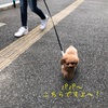 LUｰちゃんは、パンが大好きです✨