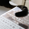 猫とおしゃべりする。小さいのと、大きいのと。