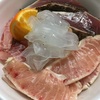 【偉大なる肴路】メシに載せても具材余りまくりでコスパ最強！海鮮丼に俺はなる！！【高知市中央卸売市場第１００回記念市場開放デイ】