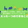 夜中にずっと起きて過ごす小学校低学年がゴールデンタイムを意識した睡眠を心がける！！