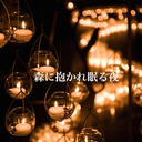 森に抱かれ眠る夜