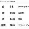 スイカ苗の植え付け完了　総計49本