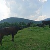 「正しさ」にとらわれない