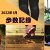 【2022年1月分】目標毎日20,000歩のウォーキング【ウォーキングダイエット】