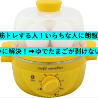 ゆでたまごが簡単に誰でも「つるん」と剥ける！超コスパ便利スチームクッカーを発見！