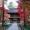 平林寺の紅葉