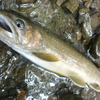 釣りで気持ちに余裕を持つ