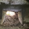 米満横穴墓群Ⅴ-5支群 (その1)  長南町米満
