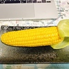 とうもろこし