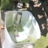 ベランダの自動灌水装置