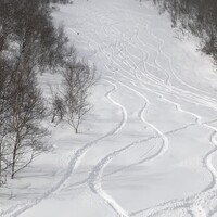 2021-2022、スキー場・シーズン券情報 - 一人旅・スノボ・起業ブログ