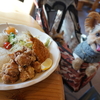 安曇野ﾄﾞｯｸﾞｶﾌｪ【Dog Cafe WITH】ﾄﾞｯｸﾞﾗﾝ・犬用メニューあり💛