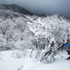 【登山】白い地獄・霊仙山＠滋賀県（１）2015.2.1