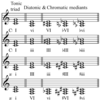 Borrowed Chords Change Triad pairs melody＋Chromatic mediant Change