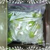 ジップロックで簡単！梅シロップ。