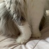 いつの間にか3月