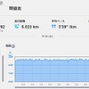 【貧血？】体調不良で沈