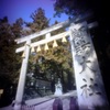Pinhole Pro S11 #20