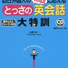 猫たちの政府の電子ビザ促進計画についての対話