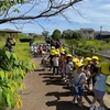 2024年5月17日 春の遠足