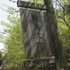 晴れ 佐々里峠～花背峠～深見峠