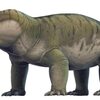 古代の動物に初期の脳発達を発見