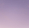 東の空の明るい星